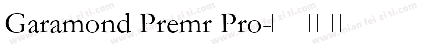 Garamond Premr Pro字体转换